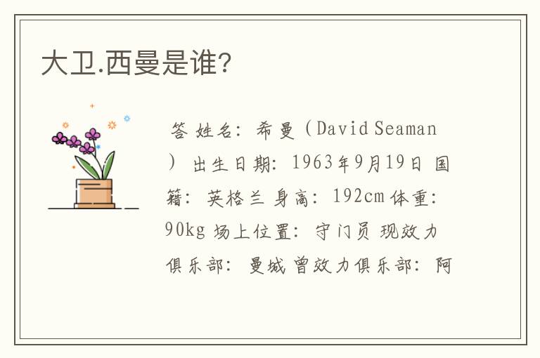 大卫.西曼是谁?