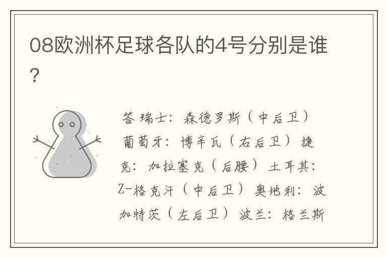 08欧洲杯足球各队的4号分别是谁?