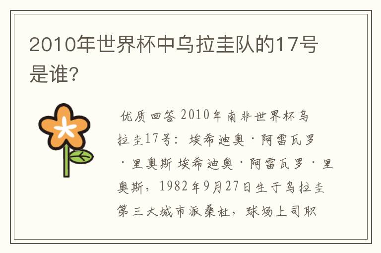 2010年世界杯中乌拉圭队的17号是谁?
