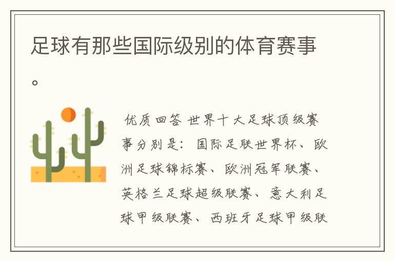 足球有那些国际级别的体育赛事。