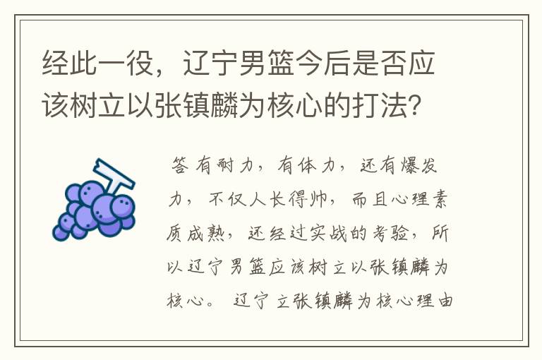 经此一役,辽宁男篮今后是否应该树立以张镇麟为核心的打法?
