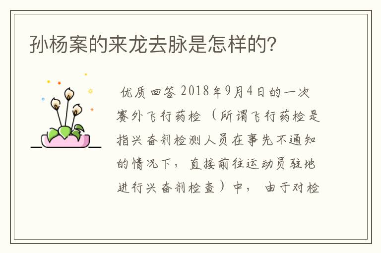 孙杨案的来龙去脉是怎样的?