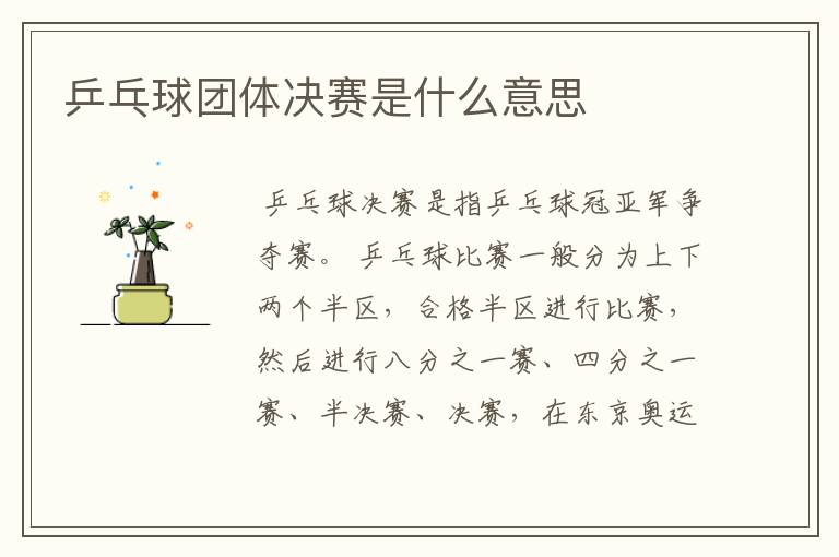 乒乓球团体决赛是什么意思