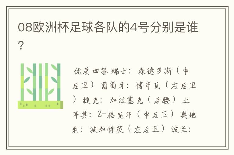08欧洲杯足球各队的4号分别是谁?