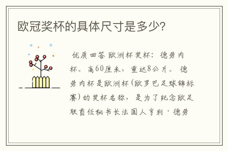 欧冠奖杯的具体尺寸是多少?