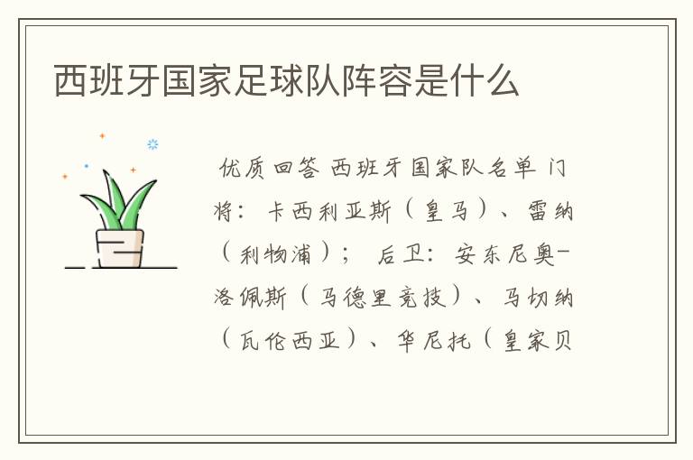 西班牙国家足球队阵容是什么