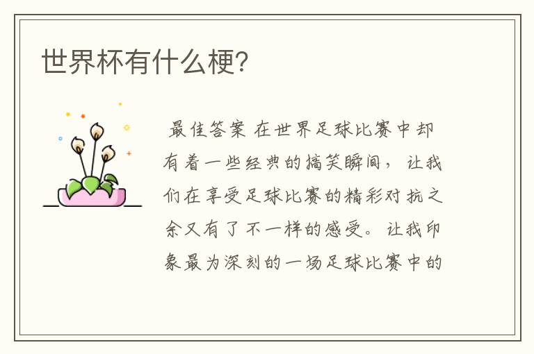 世界杯有什么梗?