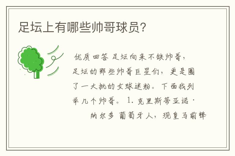 足坛上有哪些帅哥球员?