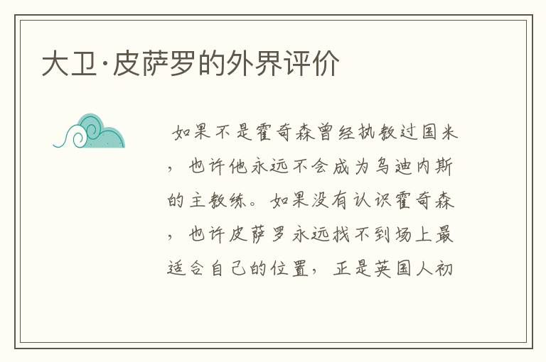 大卫·皮萨罗的外界评价