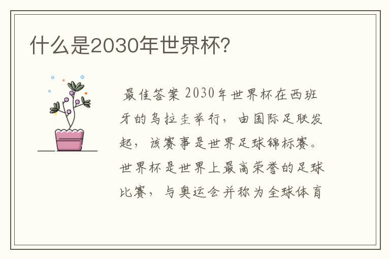 什么是2030年世界杯?