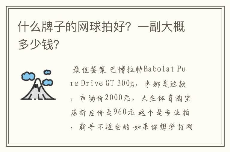 什么牌子的网球拍好?一副大概多少钱?