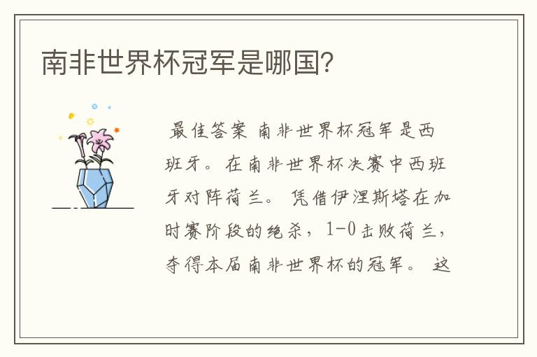 南非世界杯冠军是哪国？