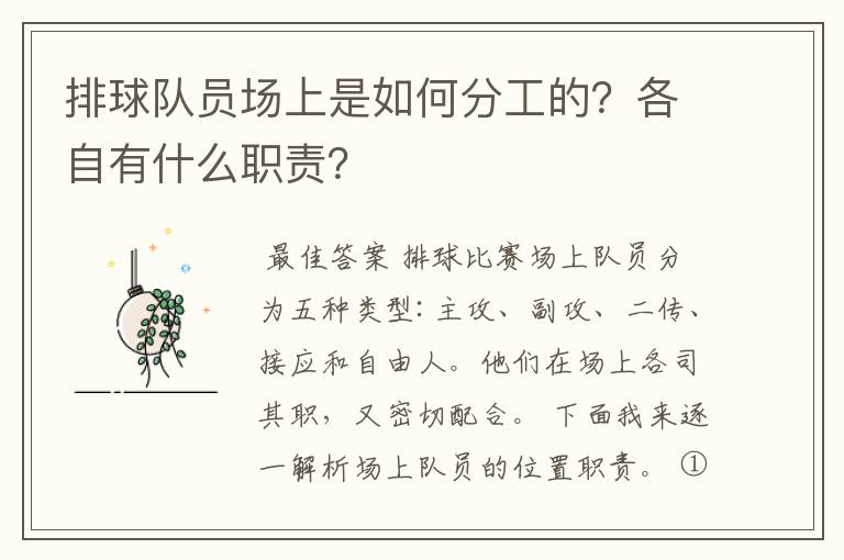 排球队员场上是如何分工的?各自有什么职责?