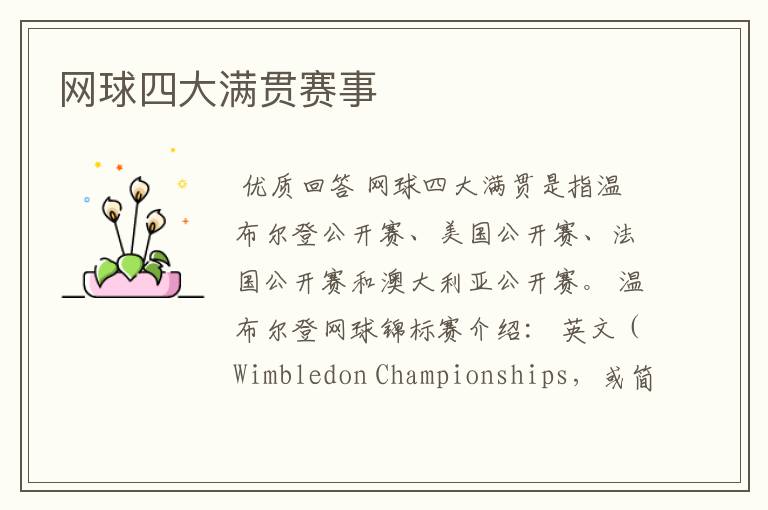 网球四大满贯赛事