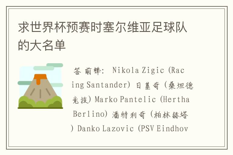 求世界杯预赛时塞尔维亚足球队的大名单