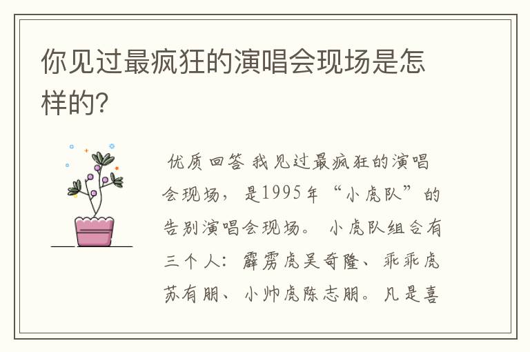 你见过最疯狂的演唱会现场是怎样的?