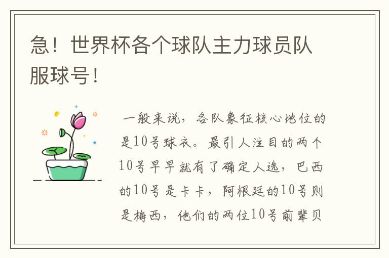 急!世界杯各个球队主力球员队服球号!