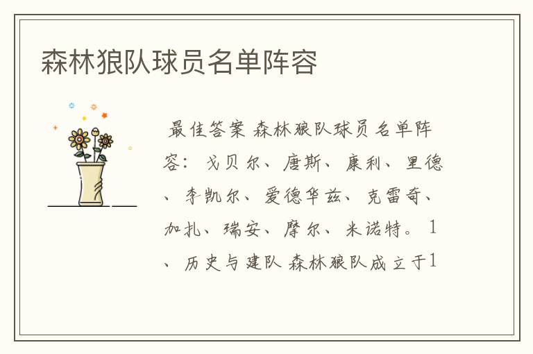 森林狼队球员名单阵容