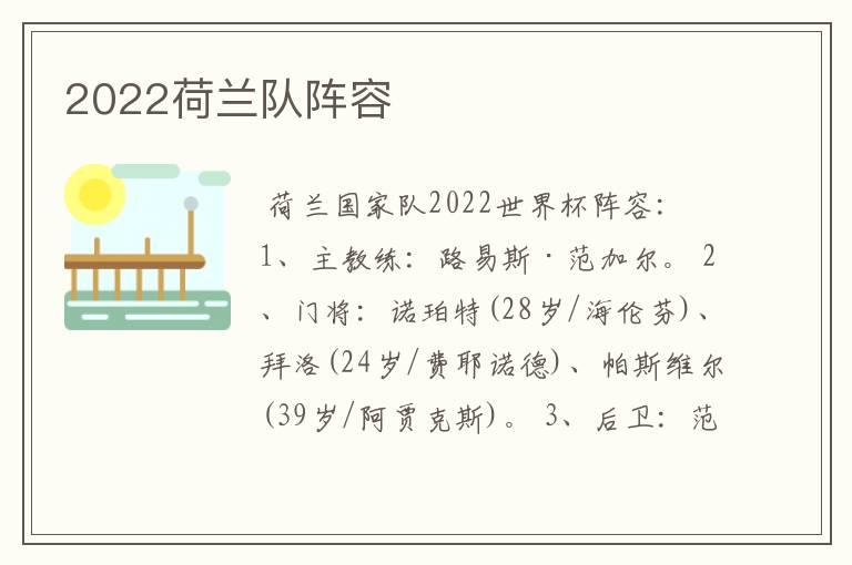 2022荷兰队阵容