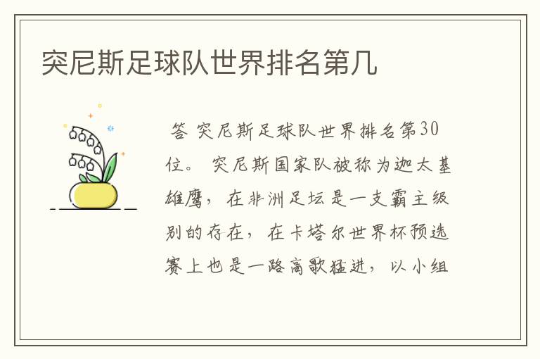 突尼斯足球队世界排名第几