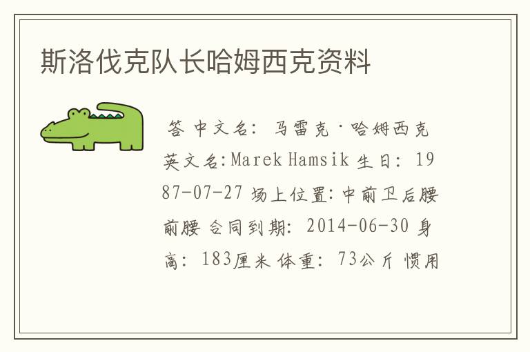 斯洛伐克队长哈姆西克资料