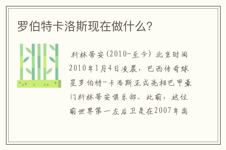 罗伯特卡洛斯现在做什么?