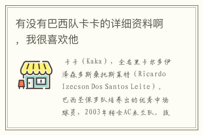 有没有巴西队卡卡的详细资料啊,我很喜欢他