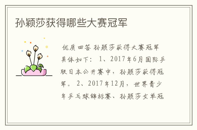 孙颖莎获得哪些大赛冠军