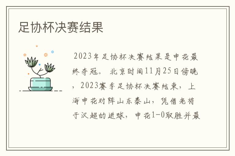 足协杯决赛结果