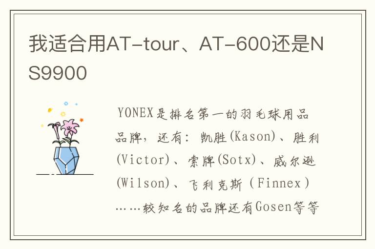 我适合用AT-tour、AT-600还是NS9900