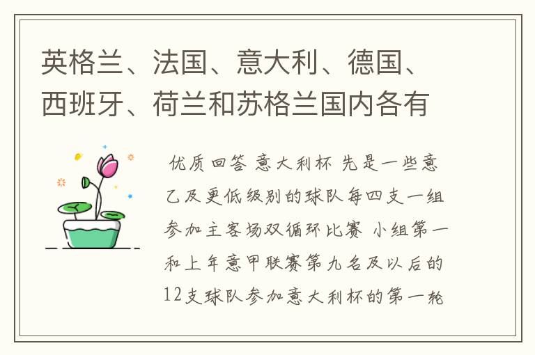 英格兰、法国、意大利、德国、西班牙、荷兰和苏格兰国内各有什么杯赛?