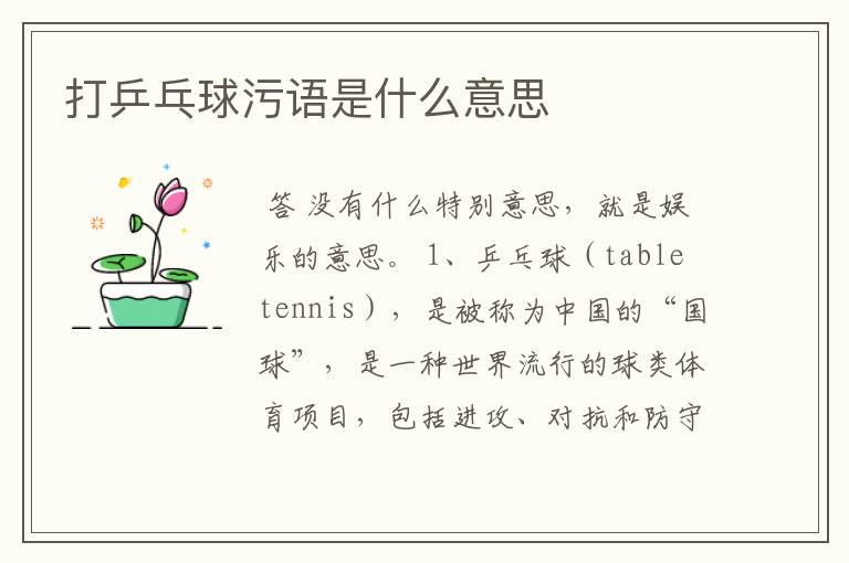 打乒乓球污语是什么意思