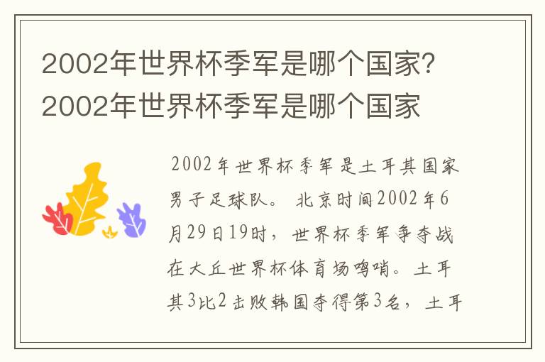 2002年世界杯季军是哪个国家?2002年世界杯季军是哪个国家