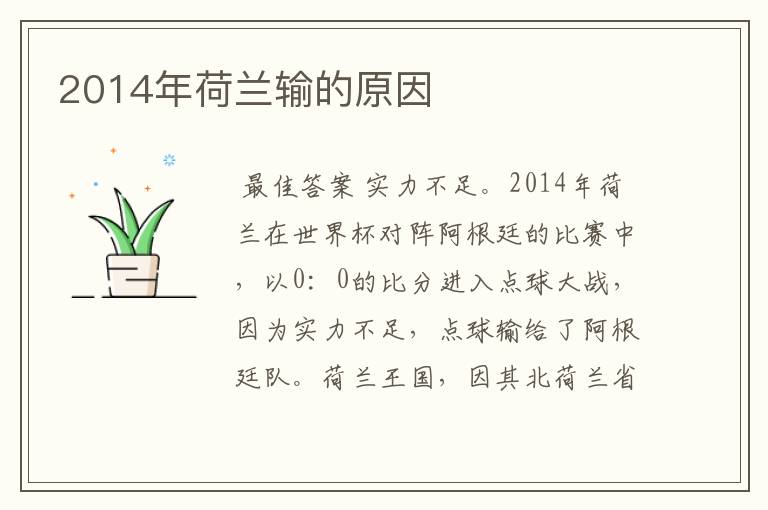 2014年荷兰输的原因