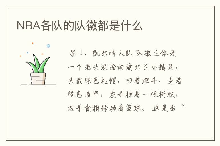 NBA各队的队徽都是什么