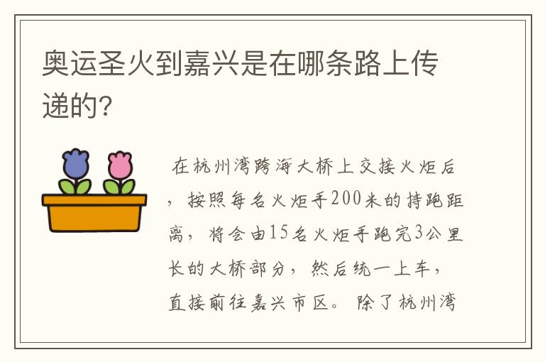 奥运圣火到嘉兴是在哪条路上传递的?