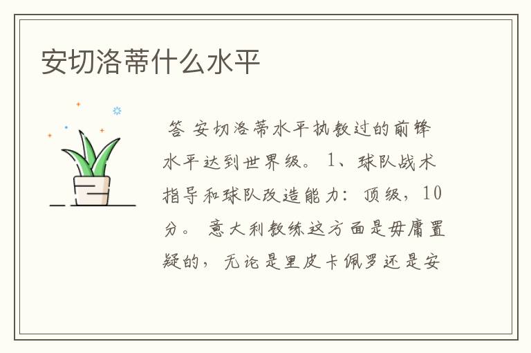 安切洛蒂什么水平