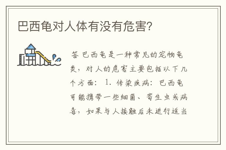 巴西龟对人体有没有危害?