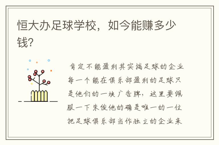 恒大办足球学校,如今能赚多少钱?