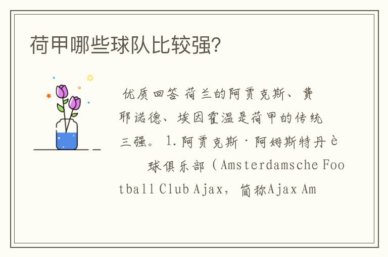荷甲哪些球队比较强？