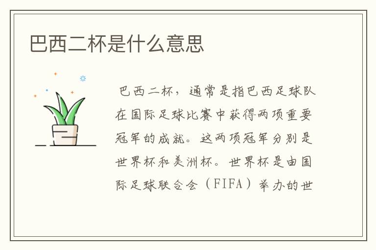 巴西二杯是什么意思