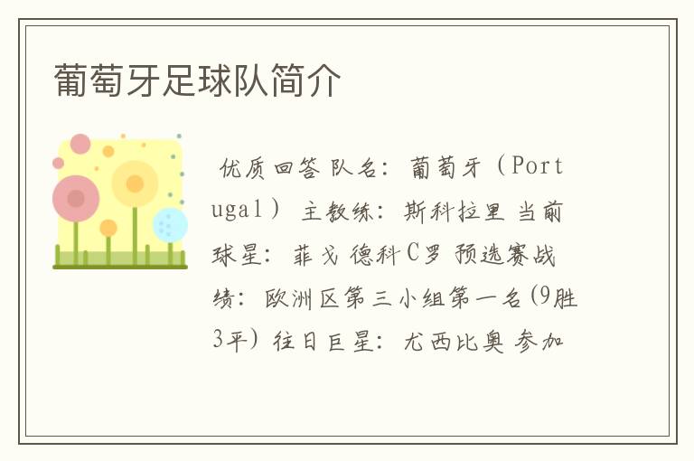 葡萄牙足球队简介