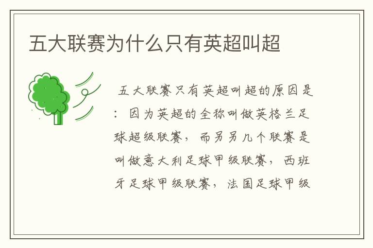 五大联赛为什么只有英超叫超