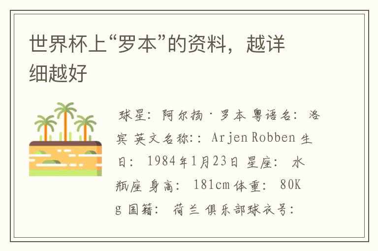 世界杯上“罗本”的资料,越详细越好