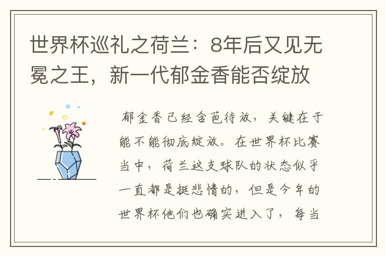 世界杯巡礼之荷兰:8年后又见无冕之王,新一代郁金香能否绽放?