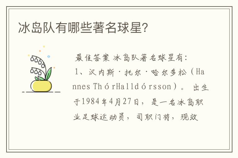 冰岛队有哪些著名球星?