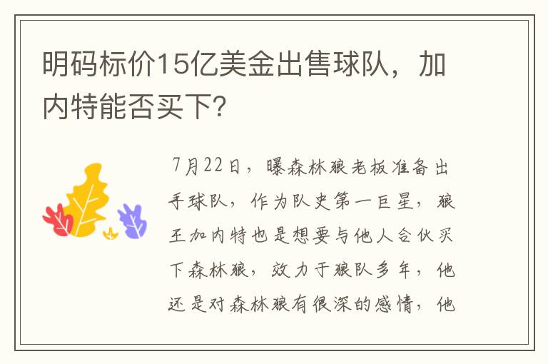 明码标价15亿美金出售球队,加内特能否买下?