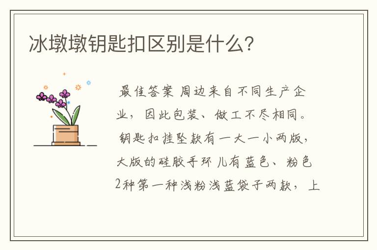 冰墩墩钥匙扣区别是什么?