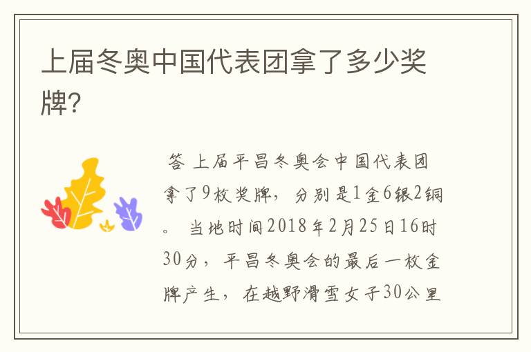 上届冬奥中国代表团拿了多少奖牌?