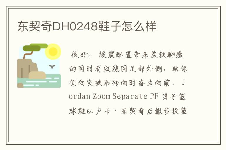 东契奇DH0248鞋子怎么样